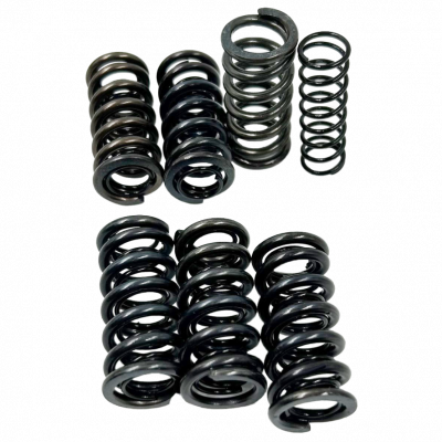 Пружини зчеплення комплект 12 шт.